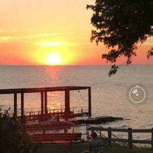 Meet your Posher, Laurie